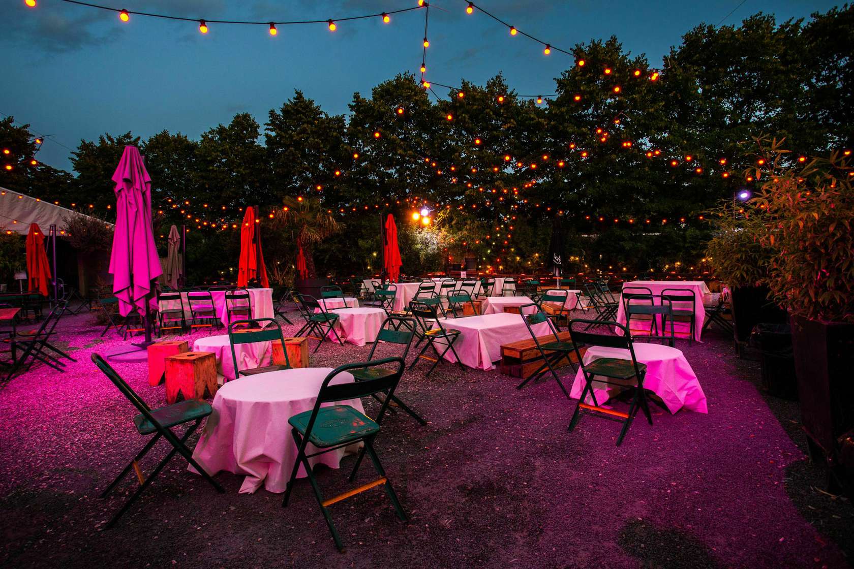 Cabaret Sauvage - Photo 3