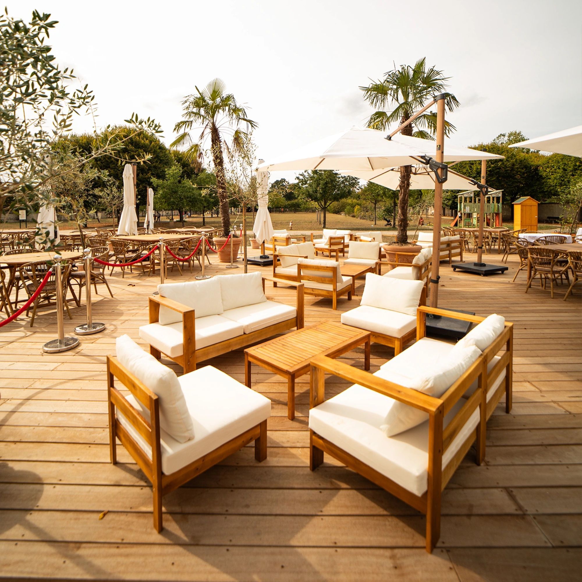 Chou de Chanorier - Photo 3
