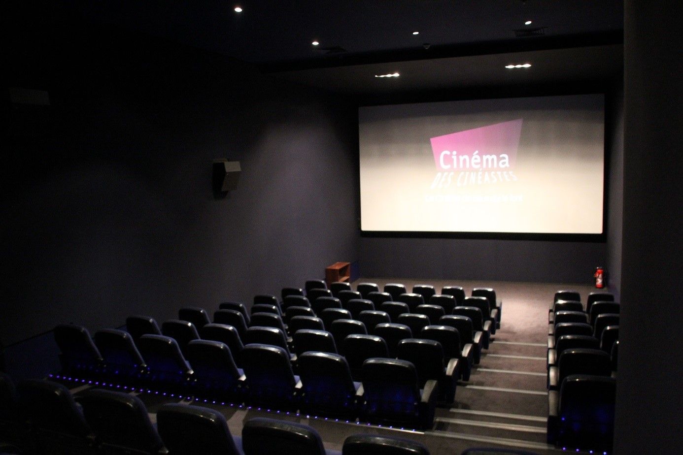 Cinéma des Cinéastes - Photo 3