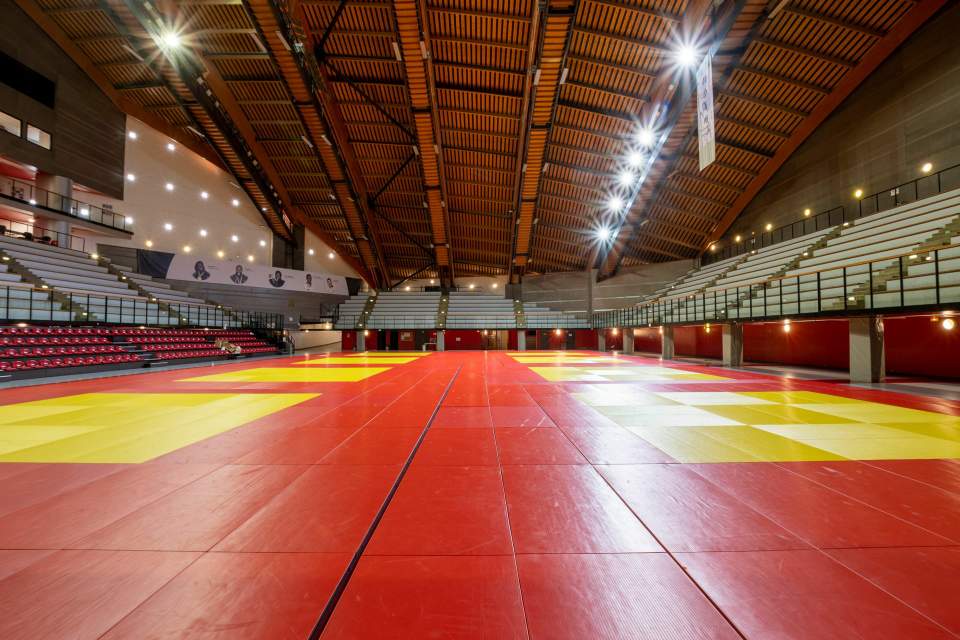 Institut Du Judo