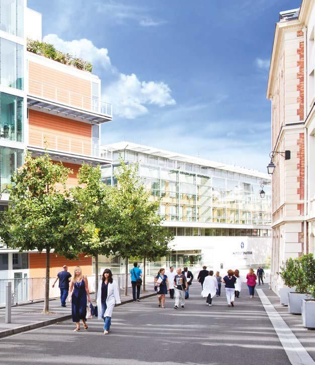 Institut Pasteur - Photo 5