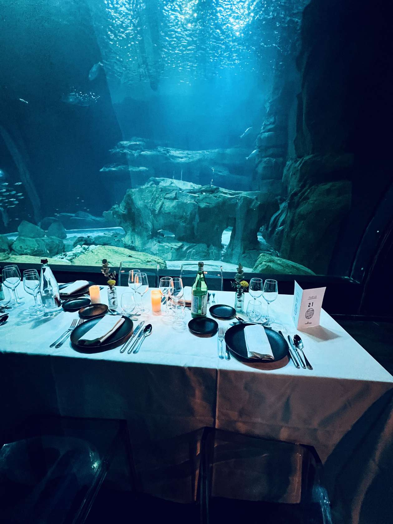 Aquarium de Paris - Photo 4