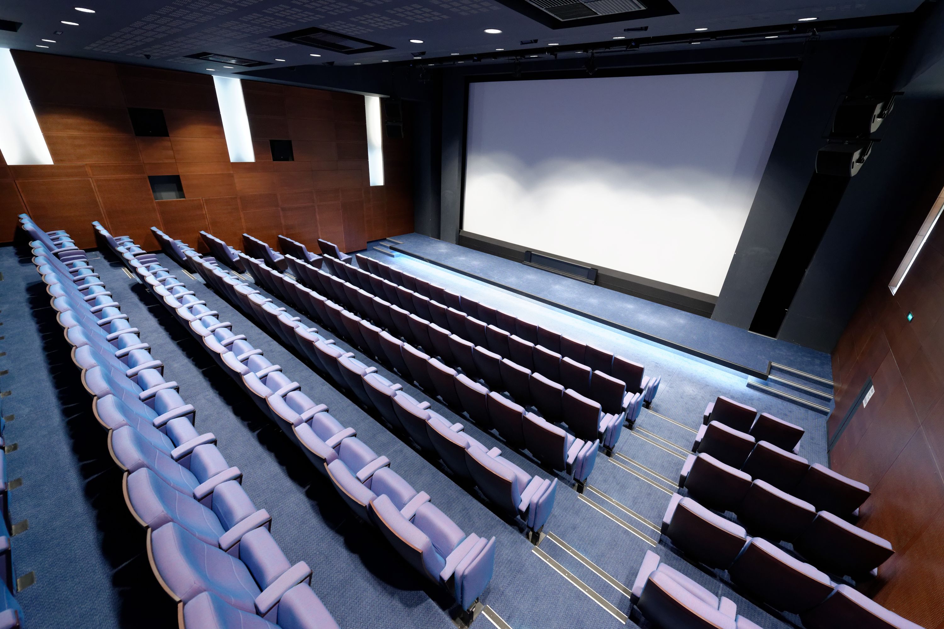 La Cinémathèque française - Photo 1