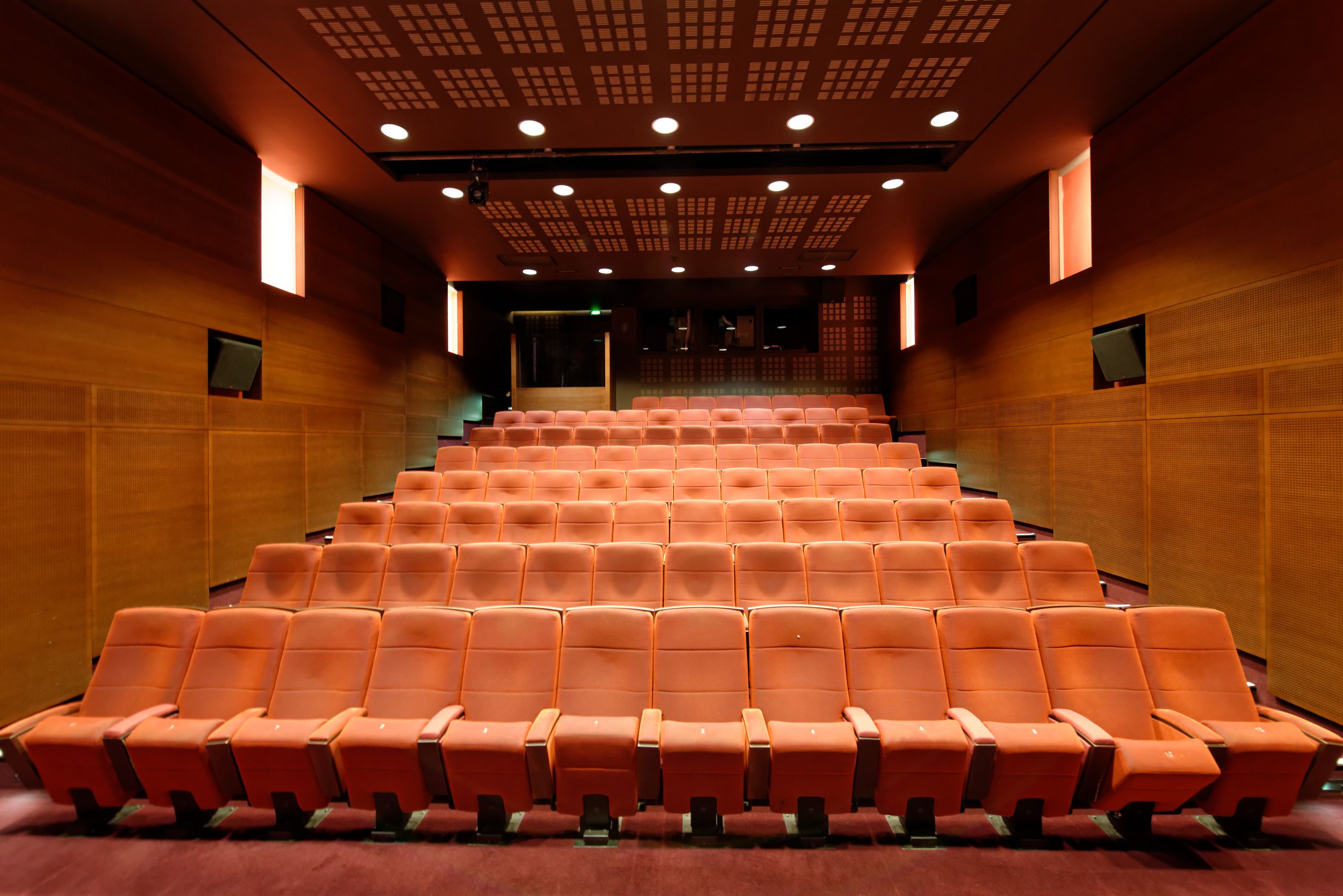 La Cinémathèque française - Photo 3