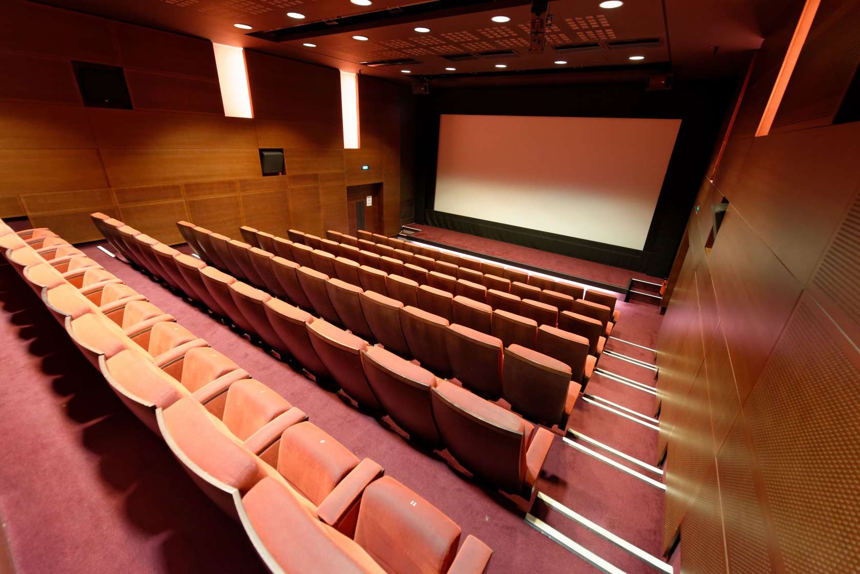 La Cinémathèque française - Photo 3