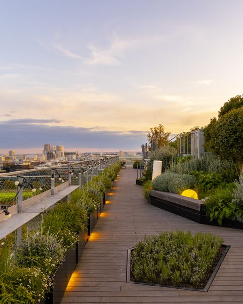LAHO Rooftop