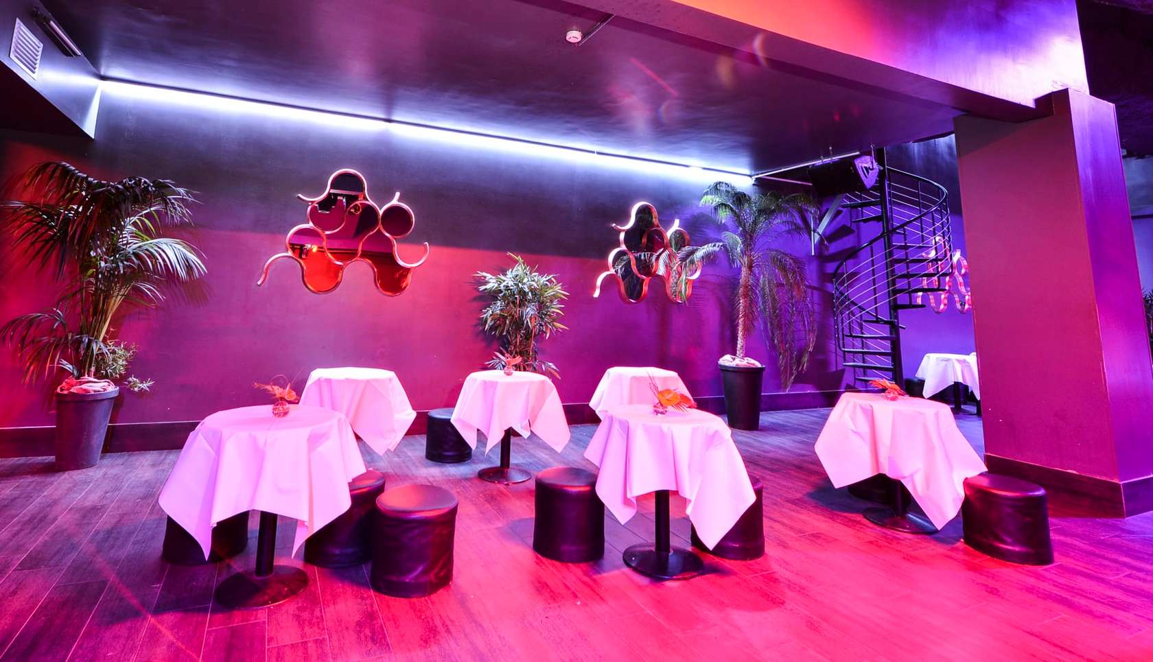 Le Brasil Tropical - Photo 2