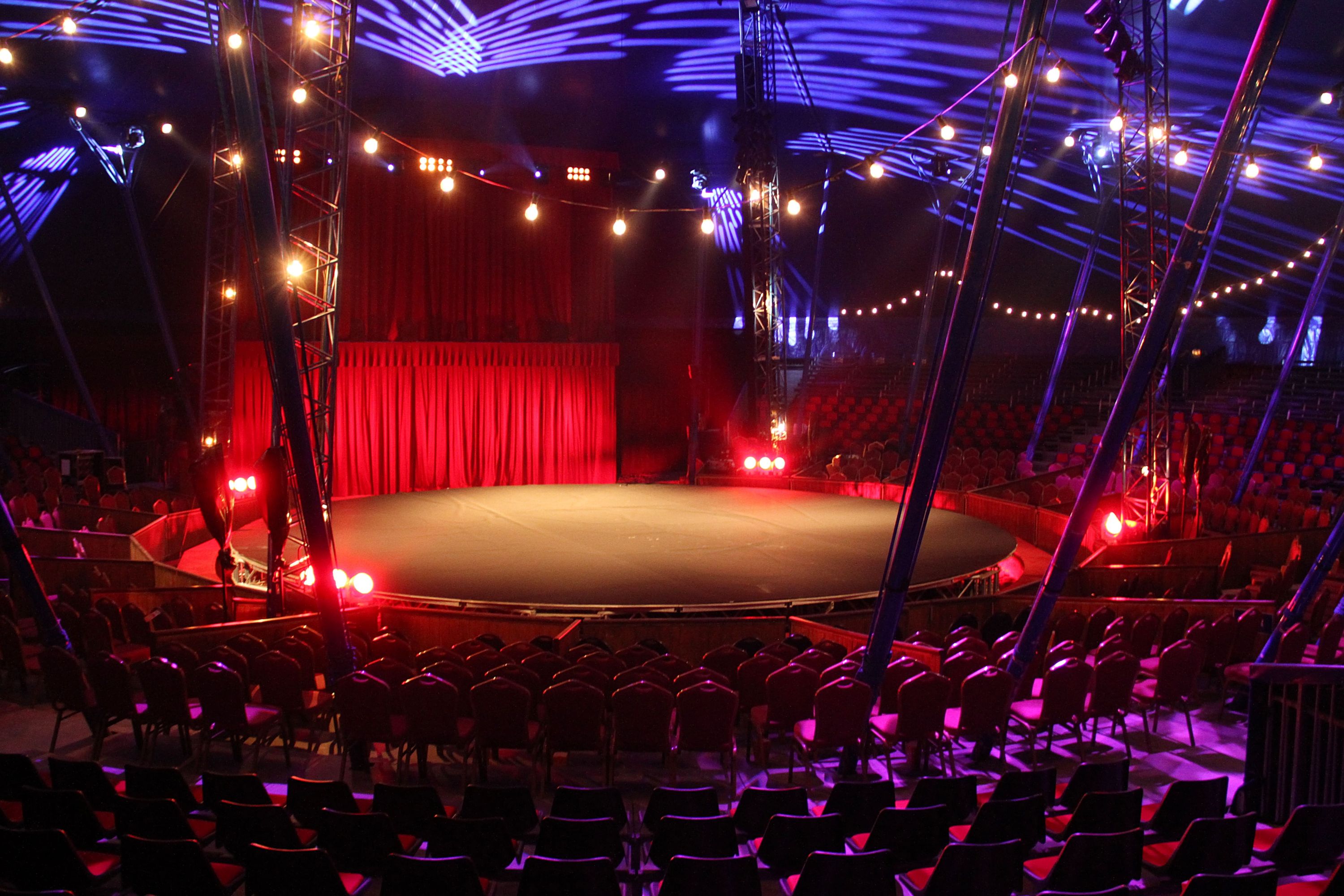 Les Folies Gruss - Photo 1