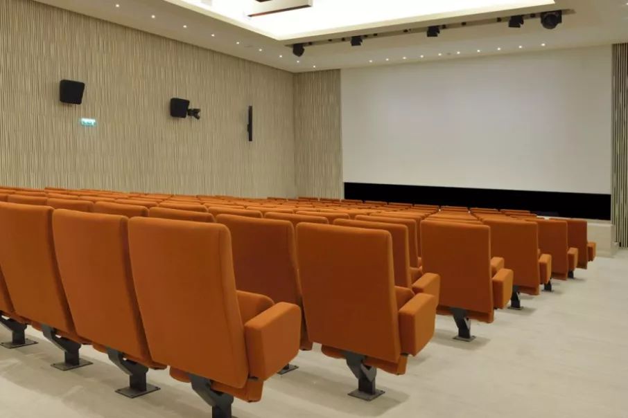 Musée de l'Homme - Photo 4