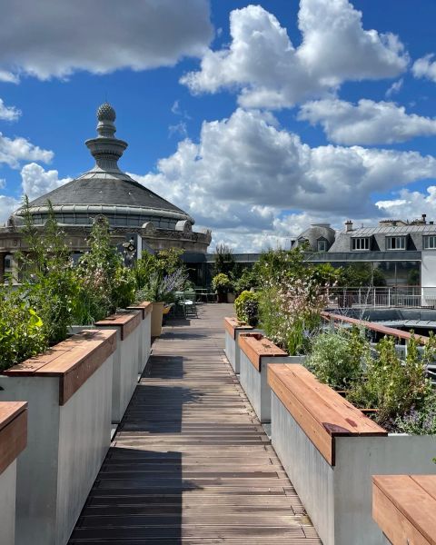 Musée Guimet - Rooftop
