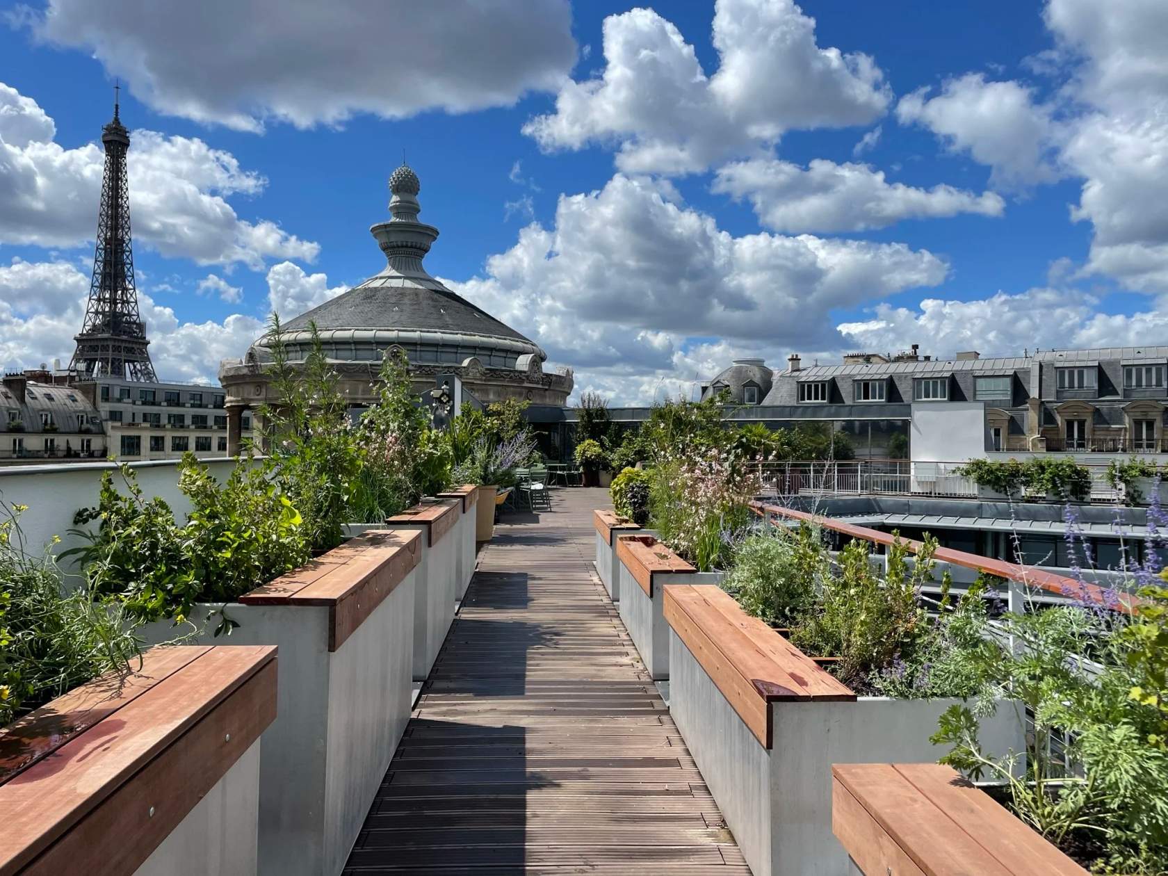Musée Guimet - Rooftop : tout ce qu'il faut savoir pour organiser votre événement