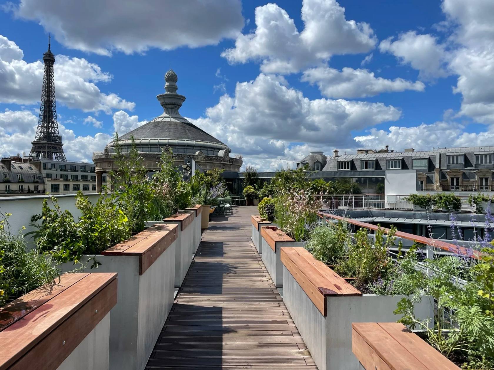 Musée Guimet - Rooftop