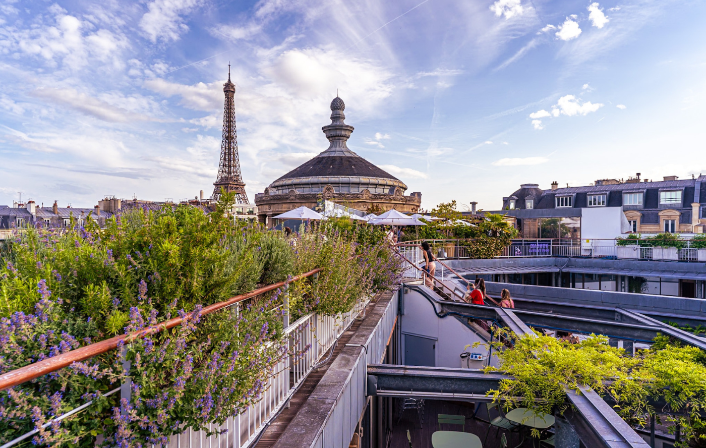 Musée Guimet - Rooftop - Photo 1