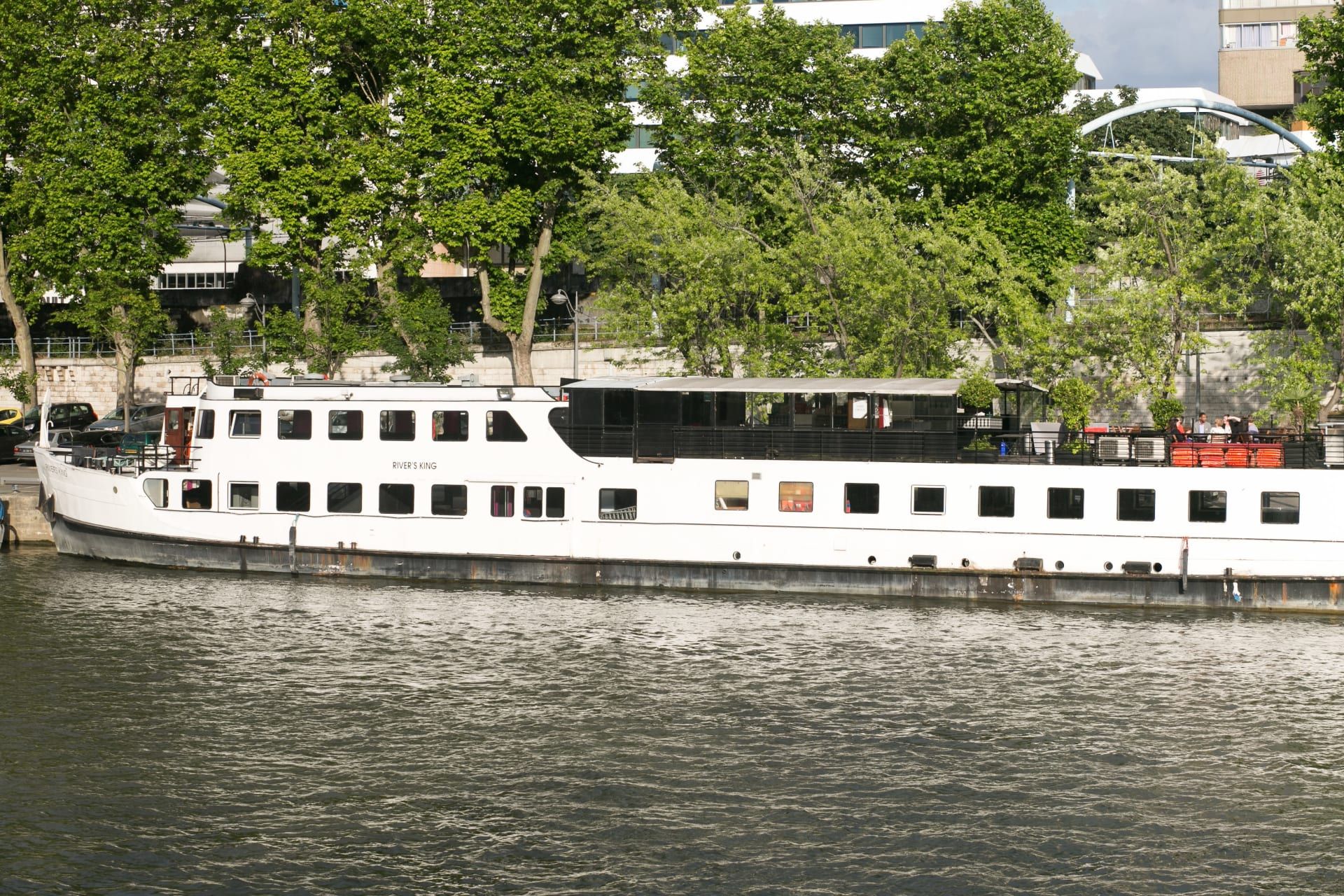 River's King - Photo 3