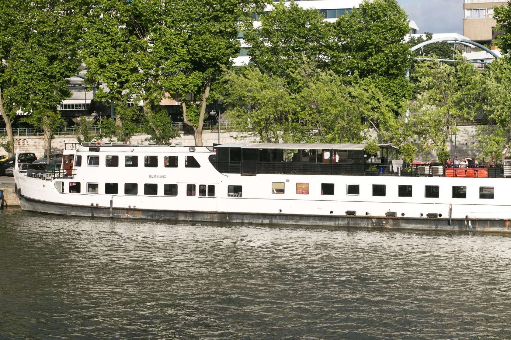 River's King - Photo 2