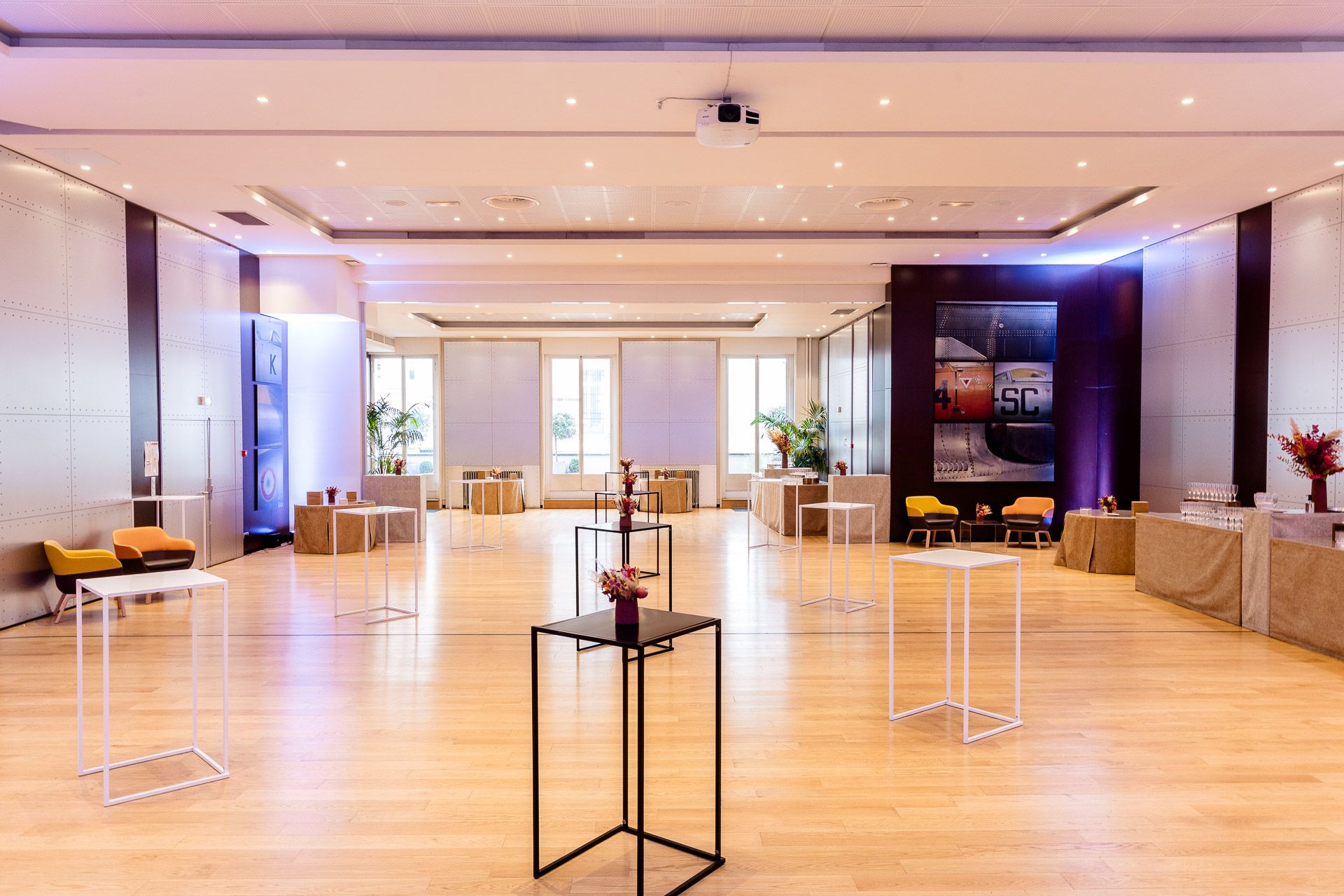 Salons de l'Aéro-Club de France - Photo 5