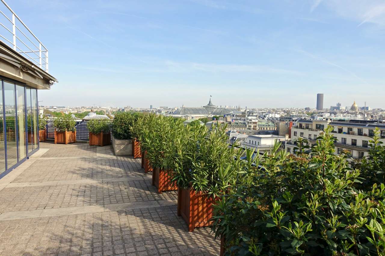 Terrasse des Champs Elysées - Photo 1