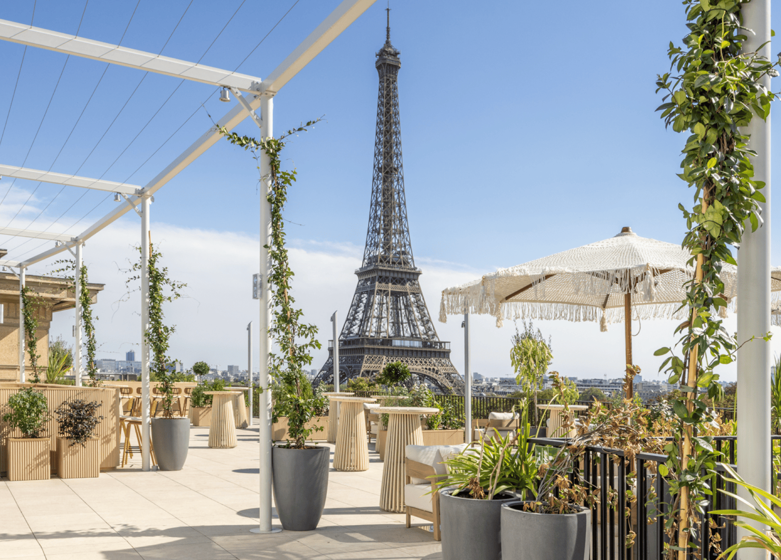 Terrasse du Palais - Photo 4